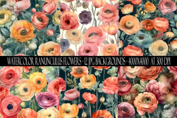 Watercolor Ranunculus Backgrounds: Elevate Your Digital Projects